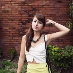 IMG_3447 domztiu-brickwall4